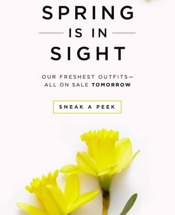 Spring themed newsletter example