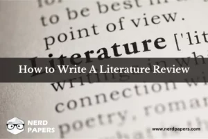 how to write a literature review
