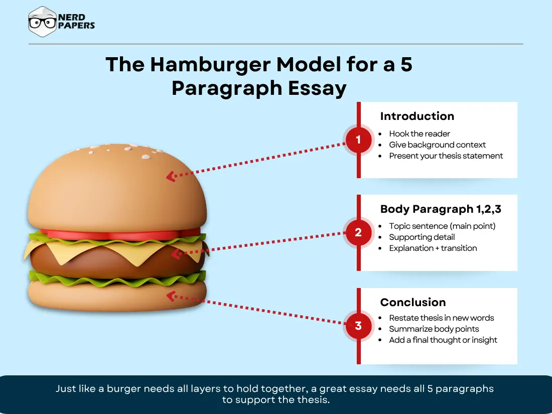 Hamburger model for 5 paragraph essay with labeled sections: introduction, body, and conclusion
